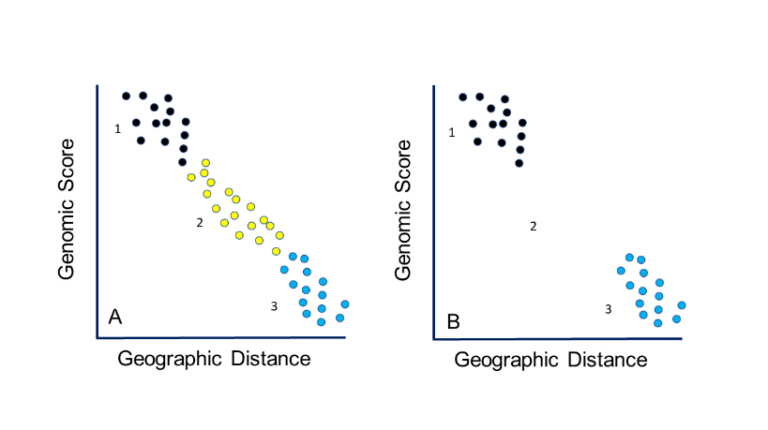 The Taxonomic Basis Of Subspecies Listed As Threatened And Endangered ...